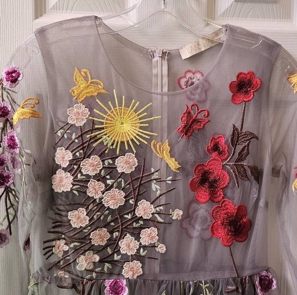 Floral Embroidered Sheer Dress - Picture 16 of 16